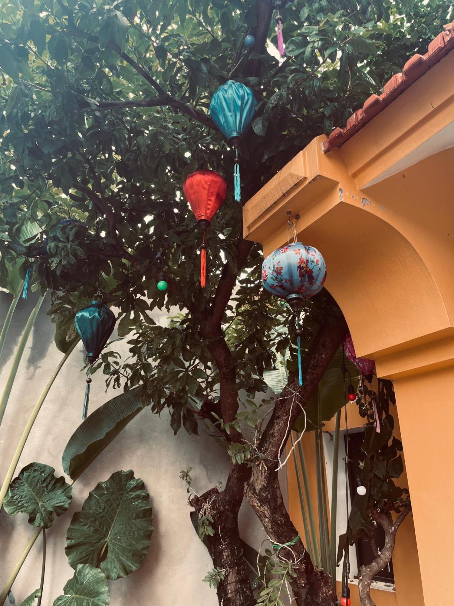 La Mai Tam Coc Homestay Ninh Bình Kültér fotó